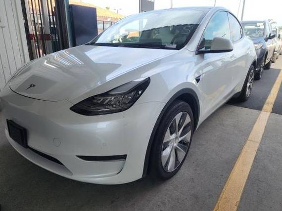 TESLA MODEL Y 2021 5YJYGDEE0MF108703 image